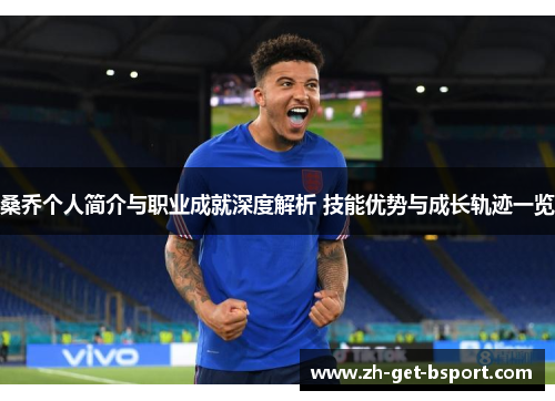 桑乔个人简介与职业成就深度解析 技能优势与成长轨迹一览