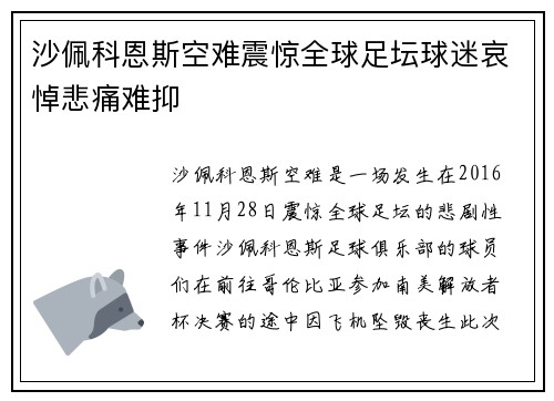 沙佩科恩斯空难震惊全球足坛球迷哀悼悲痛难抑 沙佩科恩斯空难震惊全球足坛球迷哀悼悲痛难抑